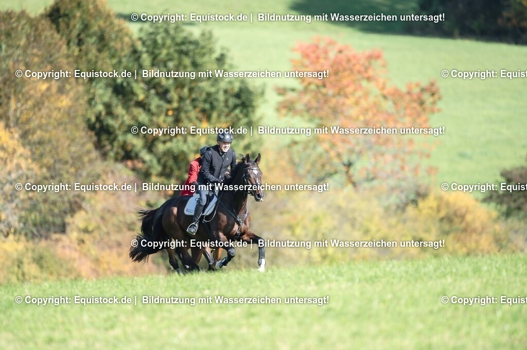 20251011_Jagd-Marbach_0337 | Foto: Thomas Hartig