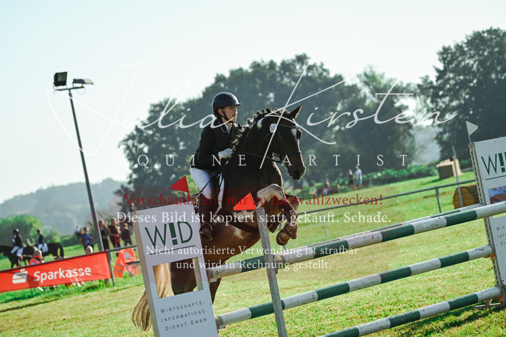 DSC_4497 | Pferde- und Turnierfotografie in Westsachsen. Pferdeportraits, Auftragszeichnungen und intuitive Kunst.