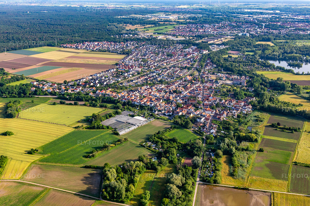 Luftbild: Ortsansicht von Süden im Ortsteil Sondernheim in Germersheim im Bundesland Rheinland-Pfalz in Deutschland. Foto: IMG_141782.jpg vom 18.06.2024 durch Werner Riehm/FLY-FOTO.de