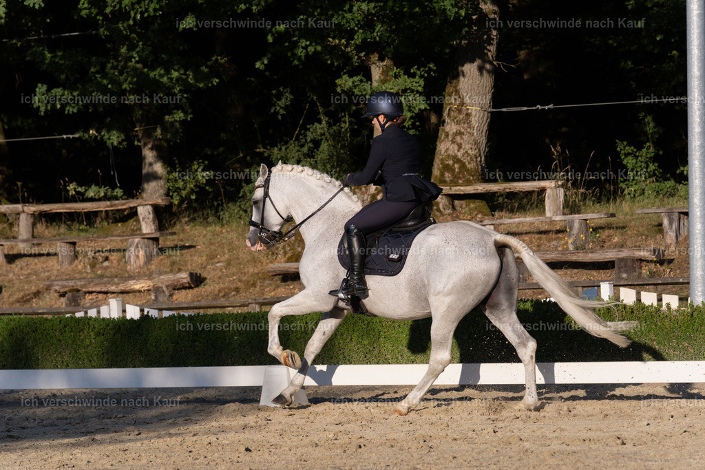 WM_DR_133_sinafilmart_IN04956 | working equitationturnier fotograf videograf stoibphotography marixx film working equitation deutschland reitsport turnierfotografie eventfotografie equestrian events