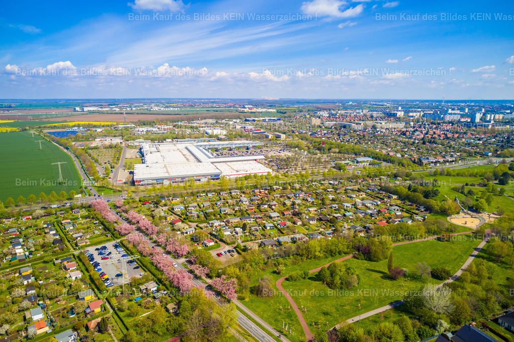 Florapark4--0008 | Florapark und Holzweg - Realisiert mit Pictrs.com