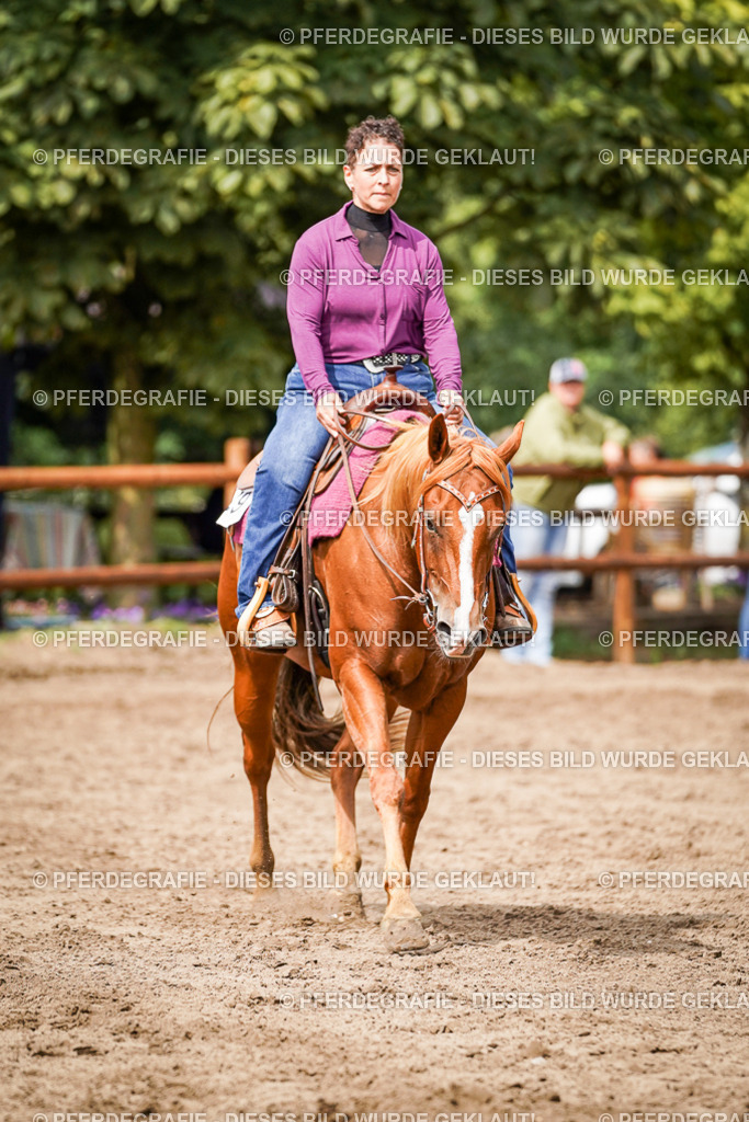 DSC07129 | Pferdegrafie