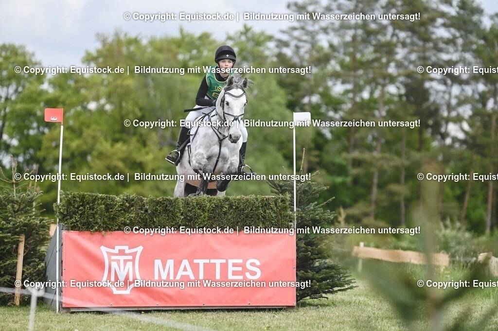 20250517_CCI1_Gelände_0111 | Foto: Thomas Hartig