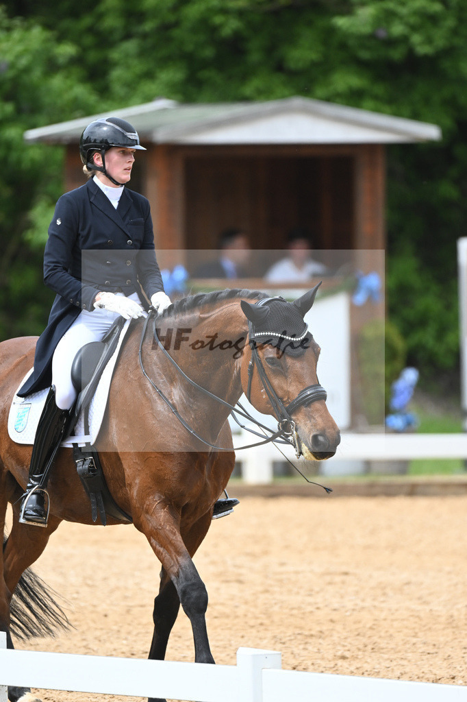 Fisch_Apanage_11233418 | hf-fotografie - Realisiert mit Pictrs.com