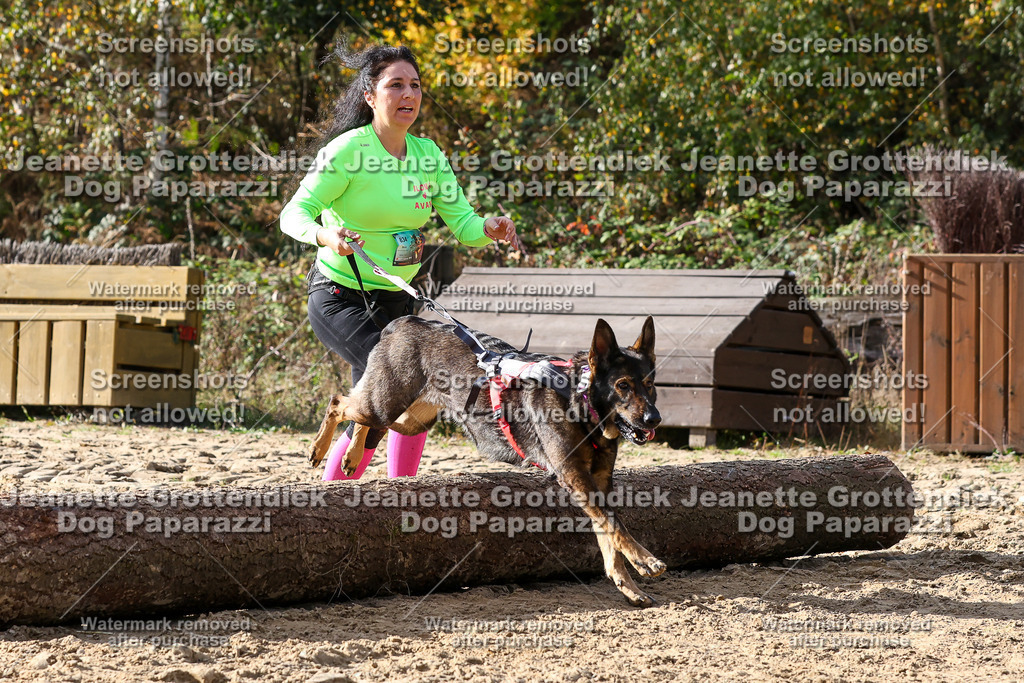 Dog Paparazzi - Strongdog 10-25-5872 | Dog Paparazzi Jeanette Grottendiek Fotografie & Videografie - Realisiert mit Pictrs.com