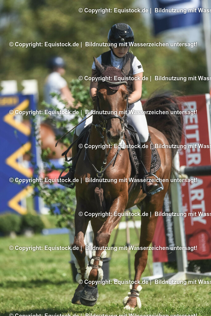 20230909_18_Springen_L_KSK-Böblingen_0137 | Foto: Thomas Hartig