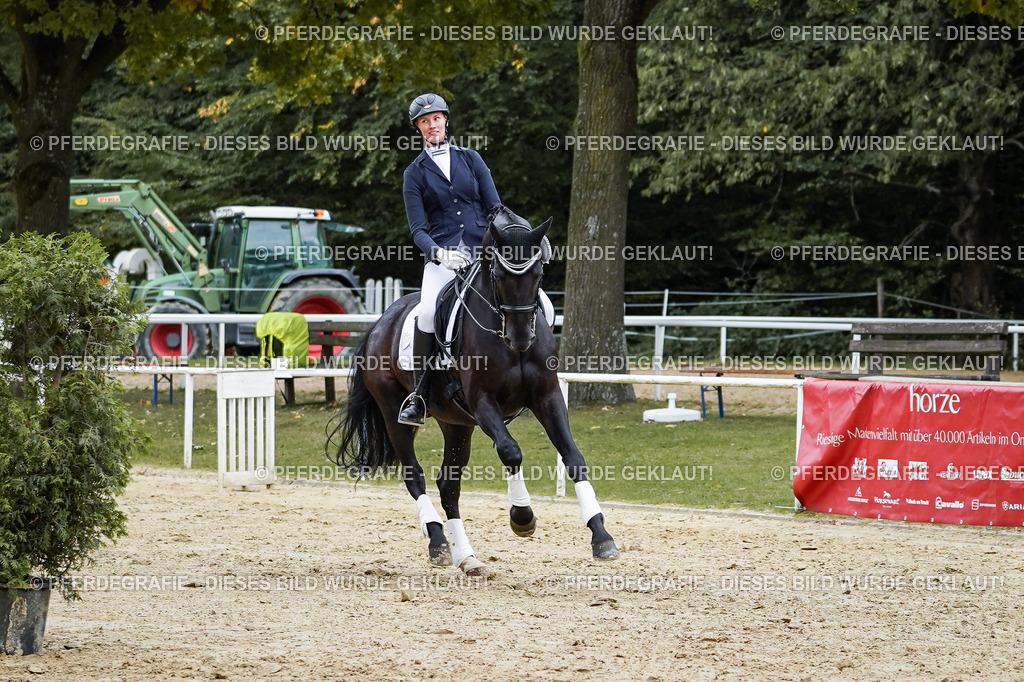 DSC02649 | Pferdegrafie