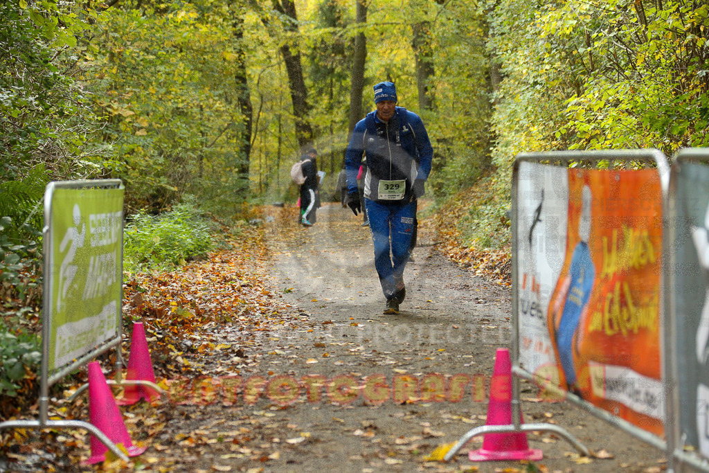 251026_1431_EX1_4166 | Sportfotografie im Rhein-Sieg Kreis, Köln, Bonn, NRW, Rheinland Pfalz, Hessen, etc. Unser Tätigkeitsfeld umfasst den Laufsport vom Volkslauf über den Marathon, Duathlon, Triathon bis zum Ultralauf wie Kölnpfad Ultra oder Schindertrail.