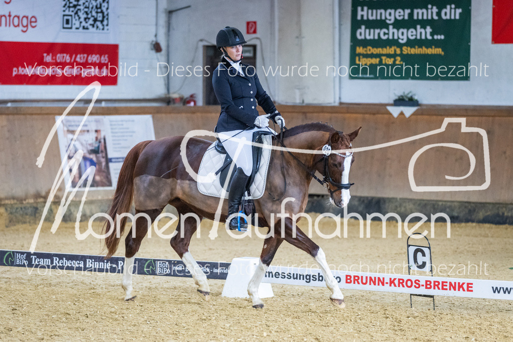 Sth-WBO25-EDr-094 | MomenTaufnahmen Pferdesportfotos