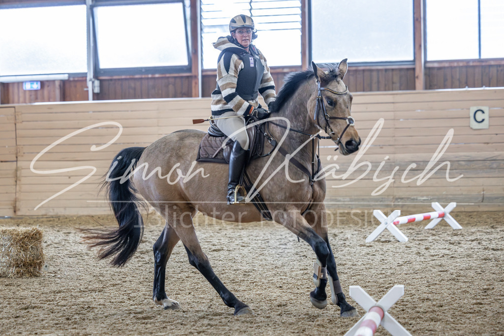 20260221-_3LI0262 | Tierfotografie Pferde, Hunde, Katzen, Haustiere.
Turnierfotografie Reitturniere, Reiten, Springreiten, Dressur in Hanau, dem Main-Kinzig-Kreis und dem Rhein-Main- Gebiet um Frankfurt