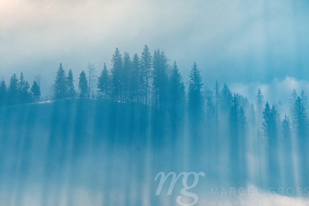 mystic light in the Emmental forest in winter | Die ideale Geschenkidee für Naturliebhaber. Naturbilder von Marcel Gross Photography für ihr Zuhause in den verschiedensten Formaten und Materialien. - Realisiert mit Pictrs.com