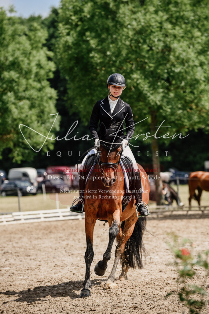 DSC_0928 | Pferde- und Turnierfotografie in Westsachsen. Pferdeportraits, Auftragszeichnungen und intuitive Kunst.