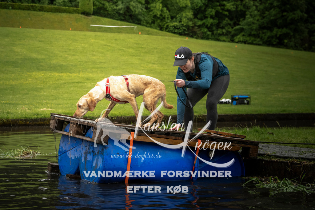 1621_ZZ97148-2 | kk-dogfotos