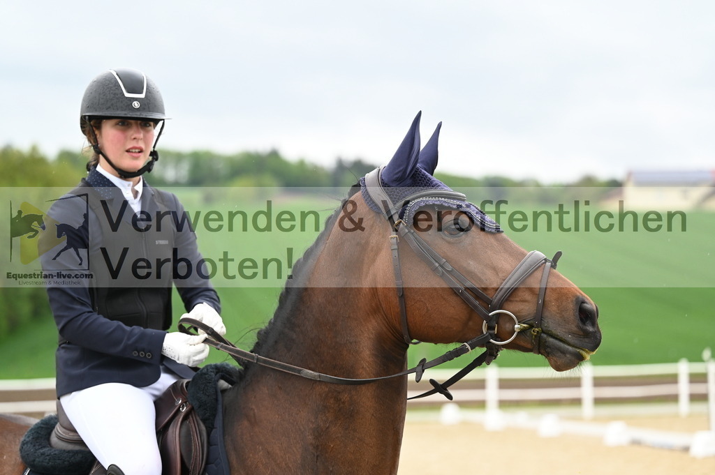 DSC_0240 | equestrian-live-com