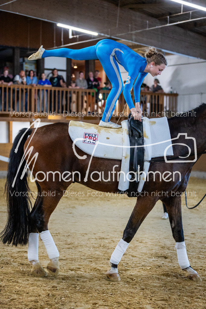 GS-NS-108 | MomenTaufnahmen Pferdesportfotos