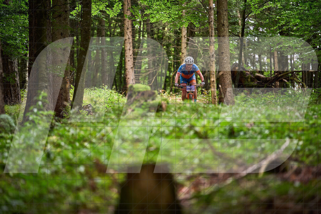 Betriebszentrum Laubenbachmühle, Frankenfels, Österreich - 13. September 2025: Dirndltal Race - Fun und Trophy RaceFotograf: Martin Bihounek / martinbihounek.com | 13. September 2025 Betriebszentrum Laubenbachmühle, Frankenfels, Österreich : Dirndltal Race - Fun und Trophy Race •••••Photo by: Martin Bihounek / martinbihounek.comInsta: @martinbihounekcom