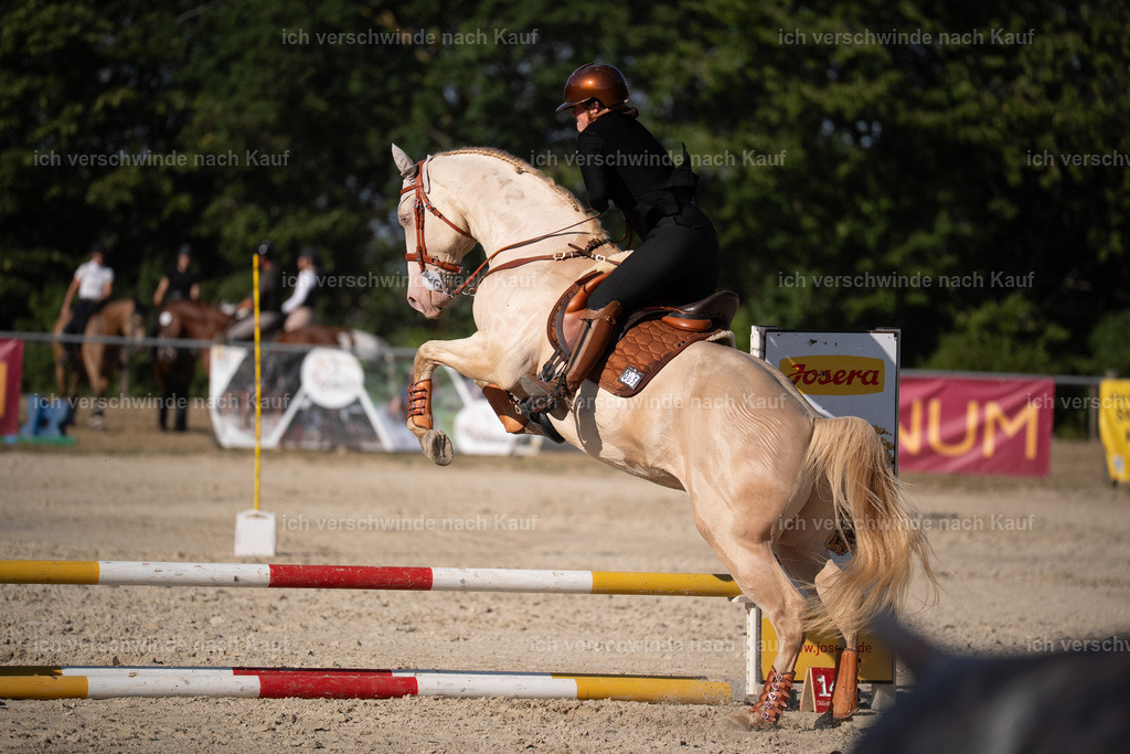 WS_SP_65_Stoibphotography_SO12125 | working equitationturnier fotograf videograf stoibphotography marixx film working equitation deutschland reitsport turnierfotografie eventfotografie equestrian events