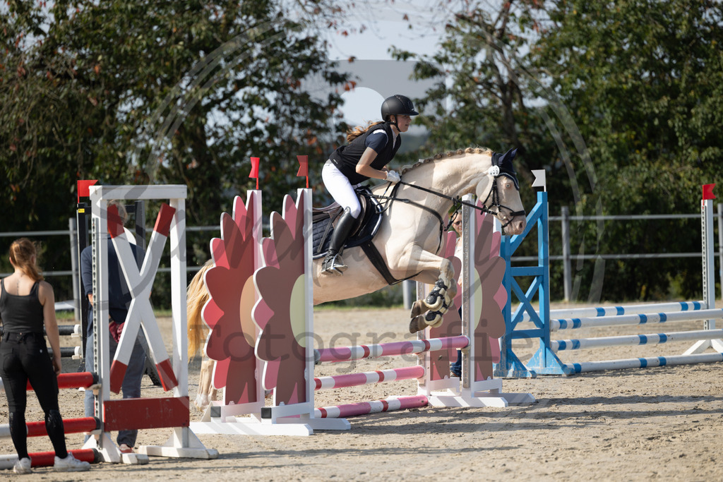 994A1703 | sabrinanicolaifotografie - Realisiert mit Pictrs.com