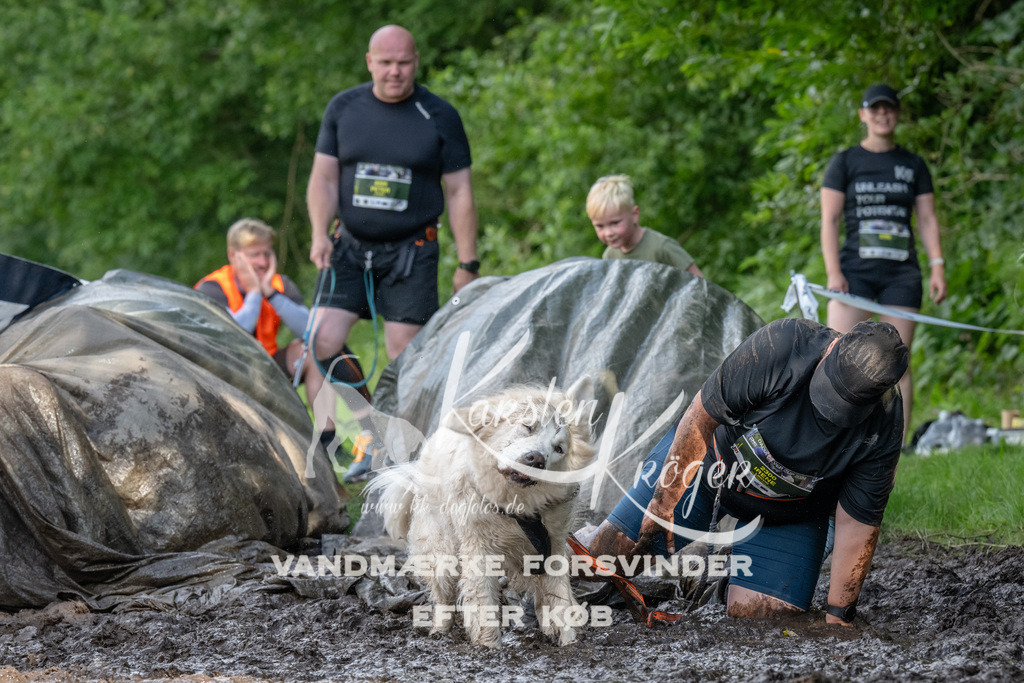 1647_ZZ94636 | kk-dogfotos