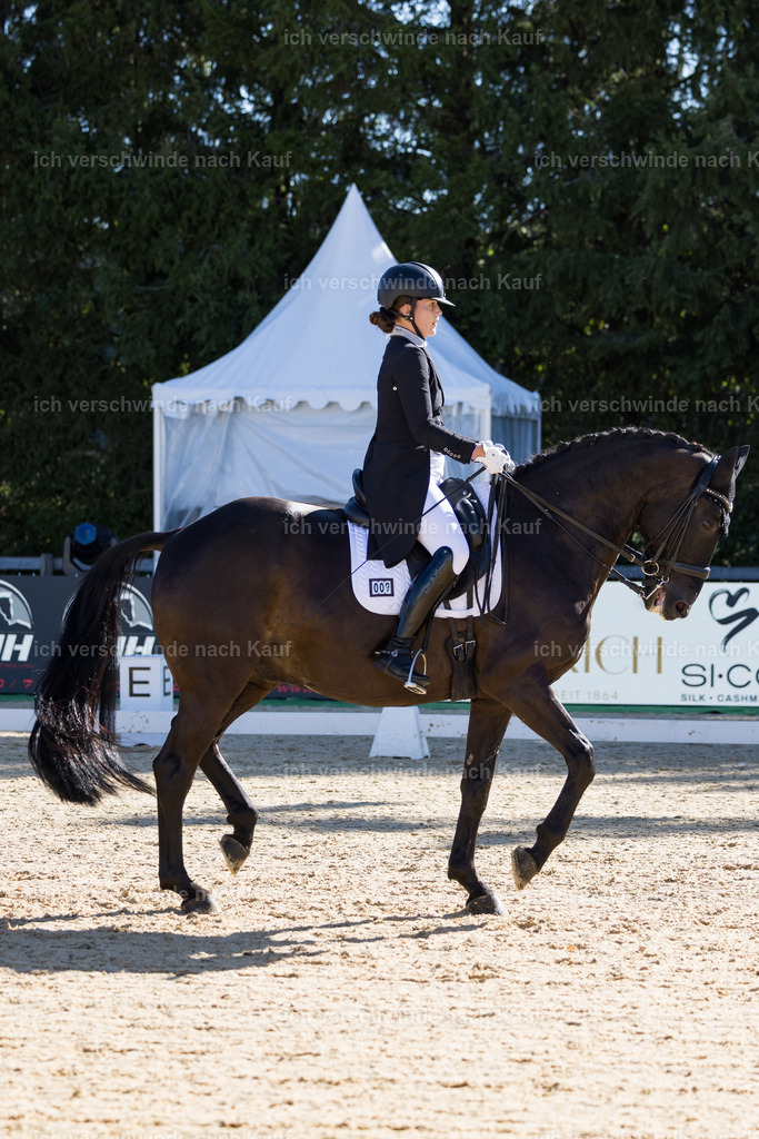 FHC2026_P07_9_17500 | working equitationturnier fotograf videograf stoibphotography marixx film working equitation deutschland reitsport turnierfotografie eventfotografie equestrian events