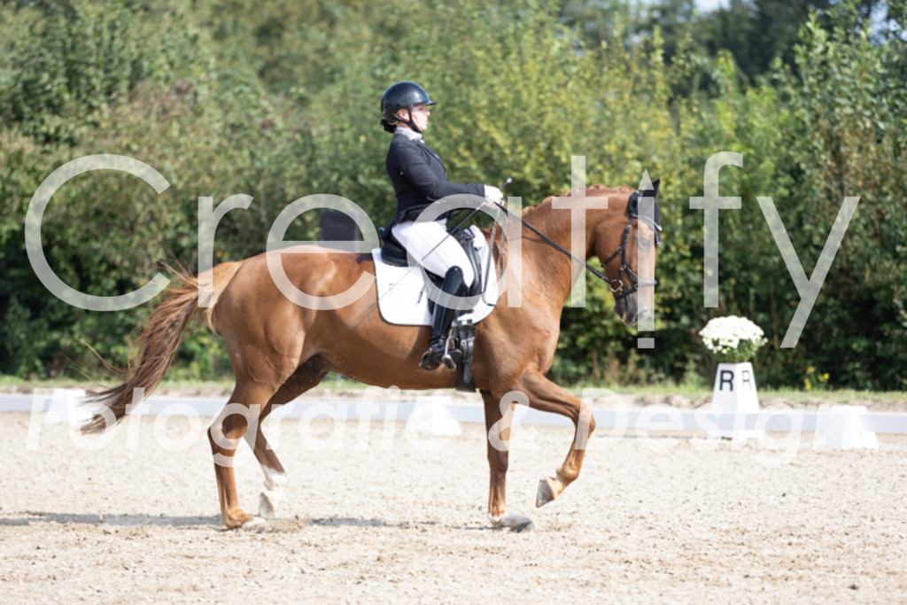 IMG_3272 | Creatify Fotografie