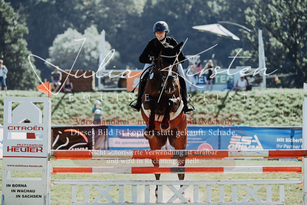 DSC_5830 | Pferde- und Turnierfotografie in Westsachsen. Pferdeportraits, Auftragszeichnungen und intuitive Kunst.