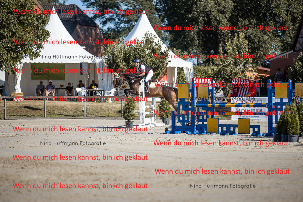 BK1A7378 | Turnierbilder Turnierfotos Nina Hüffmann Turnierfotografie Pferdefotografie Tierzeichnung Haustierzeichnung Pferdezeichnung Hundezeichnung Videograf  - Realisiert mit Pictrs.com