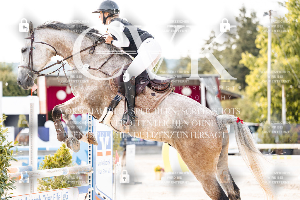 CK906735 | Turnierfotografie Pferdefotografie Trier Rheinland-Pfalz Pferdesport Reitsport Tierfotografie Sportfotografie Pferdevideo Pferdevideografie Equestrianvideography equestrianphotography  - Realisiert mit Pictrs.com
