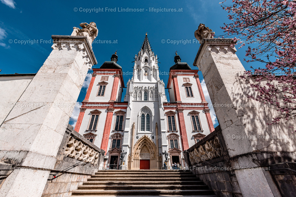 Mariazell basilika 30042022-6329 | Fotos und Fotoprodukte - Realisiert mit Pictrs.com