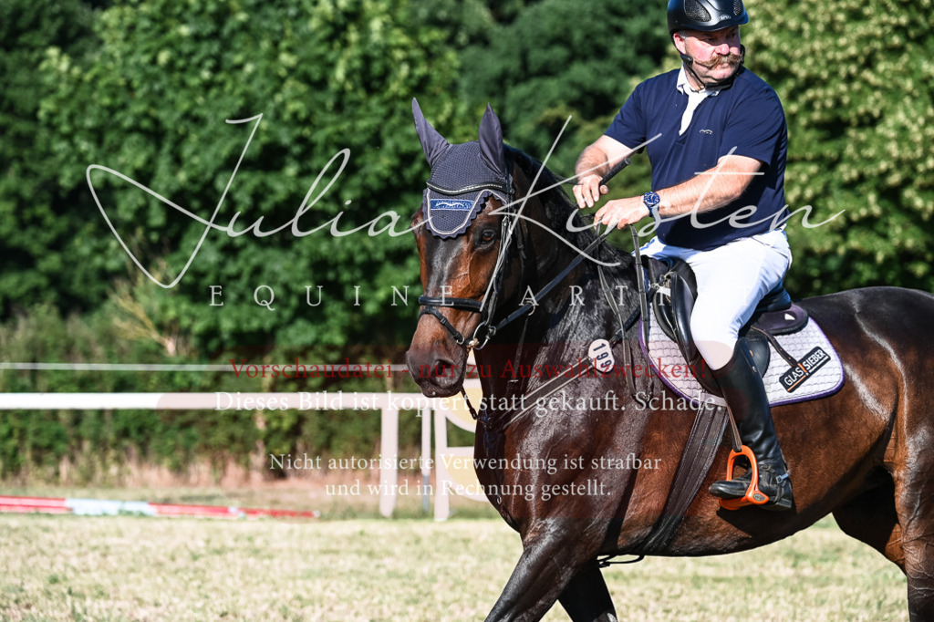 DSC_2992 | Pferde- und Turnierfotografie in Westsachsen. Pferdeportraits, Auftragszeichnungen und intuitive Kunst.