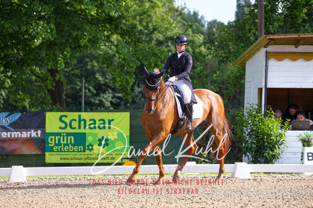 DKP41593 | Turnierfotos kaufen im Webshop von Daniel Kuhl Photography – entdecke professionelle Reitsportfotos aus Turnieren & Events. Hochwertige Turnierbilder online bestellen & sichern. Jetzt Fotos von Reitsportturnieren kaufen!