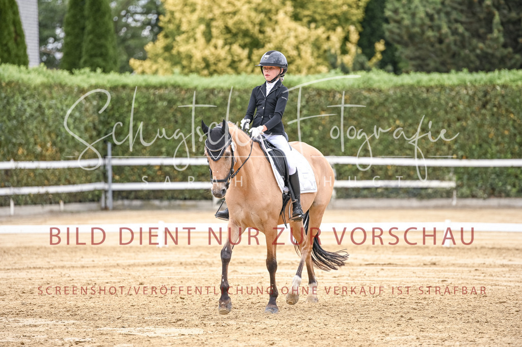 Schugtsche-Aluta25-42.EDressur -280 | Schugtsche Fotografie - Realisiert mit Pictrs.com