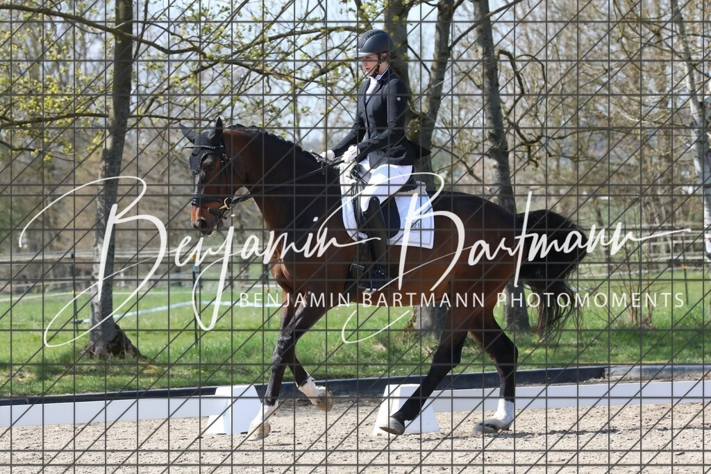 AZ2A5533 | Benjamin Bartmann Photomoments