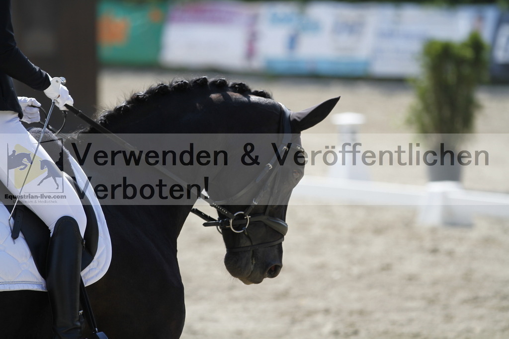 _MG_2016 | equestrian-live-com