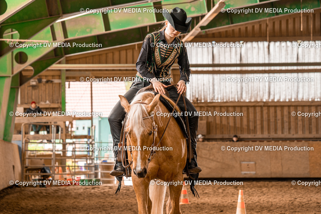 BAL00536 | dv-media-shop - Realisiert mit Pictrs.com