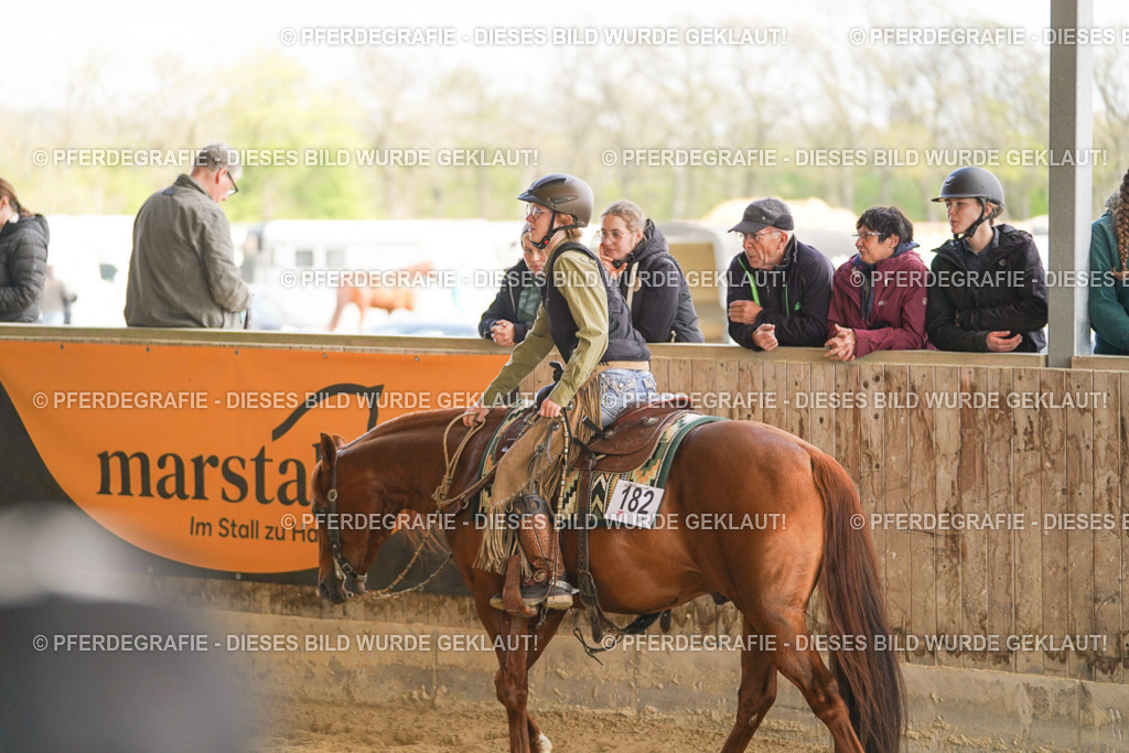 DSC06077 | Pferdegrafie