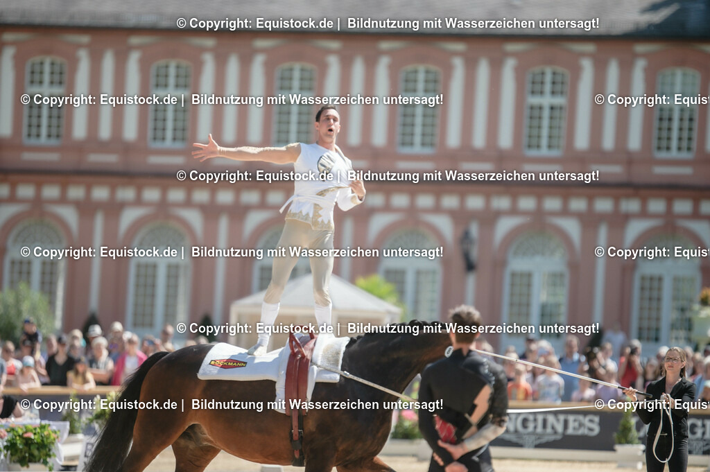 20230528_Voltigieren_NASPA_0182 | equistock