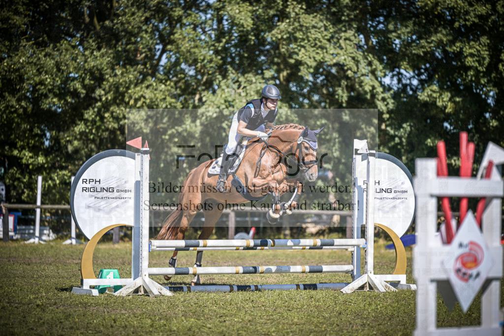 DOS_0310 | Entdecke hochwertige Reitturnierfotos von Foto Oger. Professionell, emotional und authentisch – jetzt Lieblingsmomente im Shop bestellen.Deutschlandweite Turnierfotografie. - Realisiert mit Pictrs.com