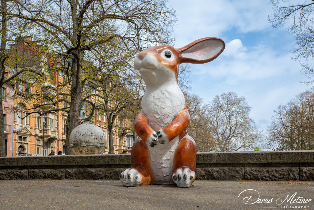 DSC_1918 | Fotografien, Fotos und Bilder aus Mainz, Frankfurt, Wiesbaden und anderen Orten auf der Welt - Fotografiert von Darius Metzner