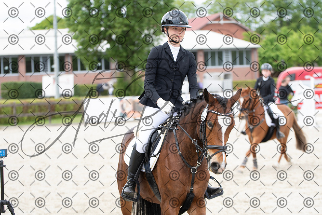 KPT_5934 | andre_photographic