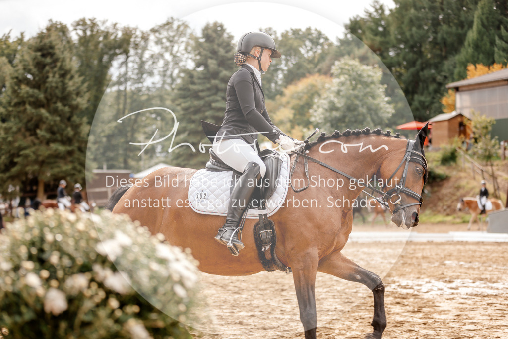 3I6A7454 | Stimmungsvolle Portraits und Reitsportfotografie im Ruhrgebiet und im Münsterland.

Pferdefotografie, Hundefotografie, Tierfotografie, Reportagen, Portraits von Tier und Mensch, Turnierfotografie in Bochum, Recklinghausen, Marl, Haltern am See, Dülmen.. - Realisiert mit Pictrs.com