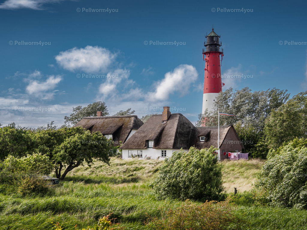 _6150312 | Pellwormer Bilder und Fotos als Poster, auf Leinwand mit Keilrahmen, hinter Acrylglas, auf Alu-Dibond oder Forex-Platte und vieles mehr. Zum verschenken, für die Ferienwohnung oder für zu Hause. - Realisiert mit Pictrs.com