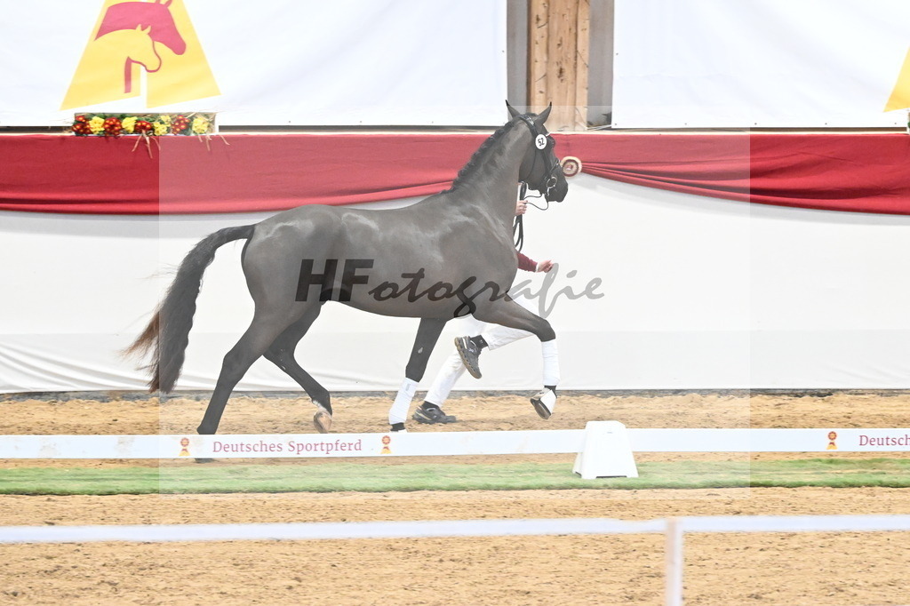 Kat.-Nr. 52 v. Fanegro_Schulze Averdiek_3260307 | hf-fotografie - Realisiert mit Pictrs.com