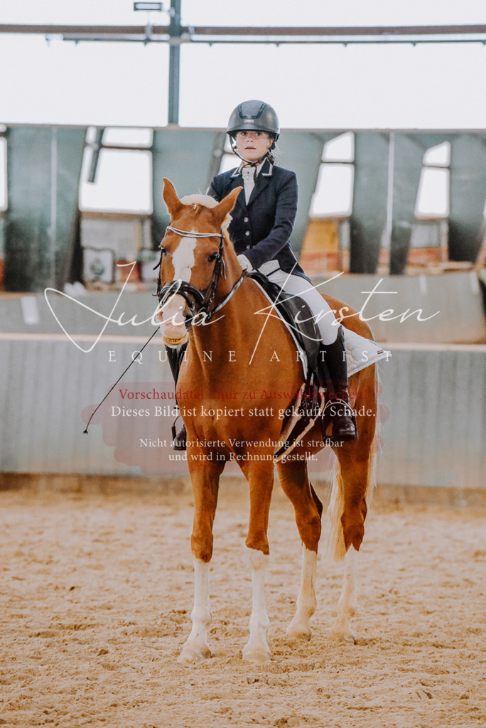 DSC_7696 | Pferde- und Turnierfotografie in Westsachsen. Pferdeportraits, Auftragszeichnungen und intuitive Kunst.