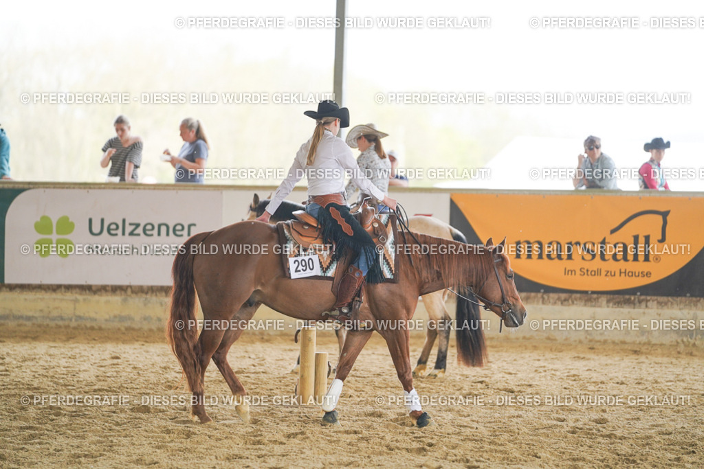 DSC06122 | Pferdegrafie