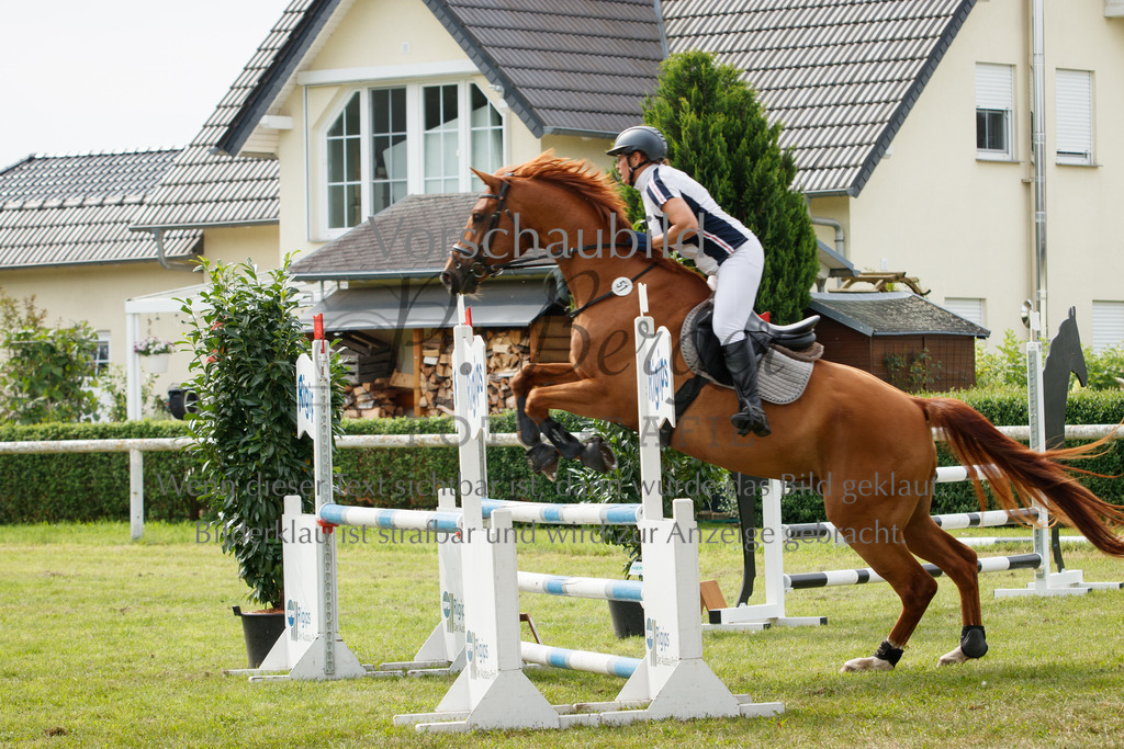 IMG_2662 | P. Berger Fotografie - Realisiert mit Pictrs.com