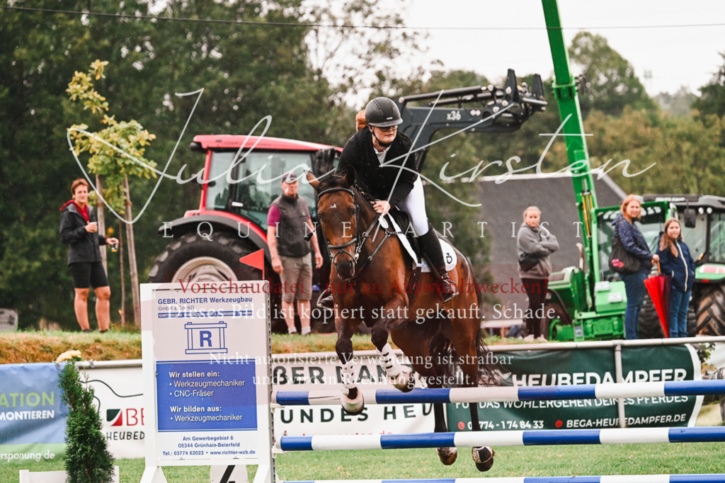 DSC_6518 | Pferde- und Turnierfotografie in Westsachsen. Pferdeportraits, Auftragszeichnungen und intuitive Kunst.