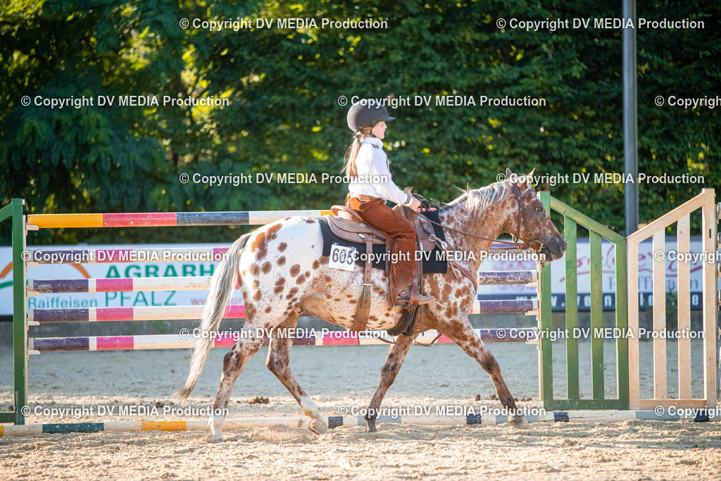 EWP_7257 | dv-media-shop - Realisiert mit Pictrs.com