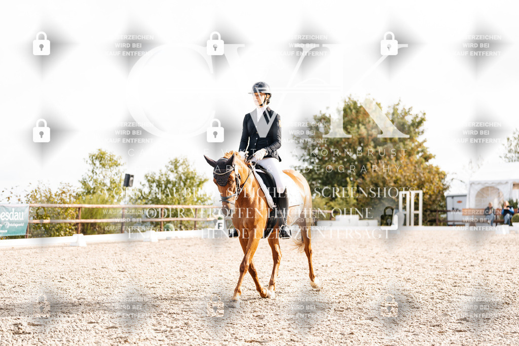 CK901042 | Turnierfotografie Pferdefotografie Trier Rheinland-Pfalz Pferdesport Reitsport Tierfotografie Sportfotografie Pferdevideo Pferdevideografie Equestrianvideography equestrianphotography  - Realisiert mit Pictrs.com