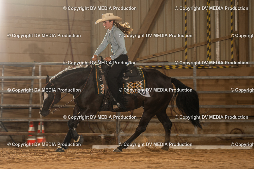 NID02196 | dv-media-shop - Realisiert mit Pictrs.com